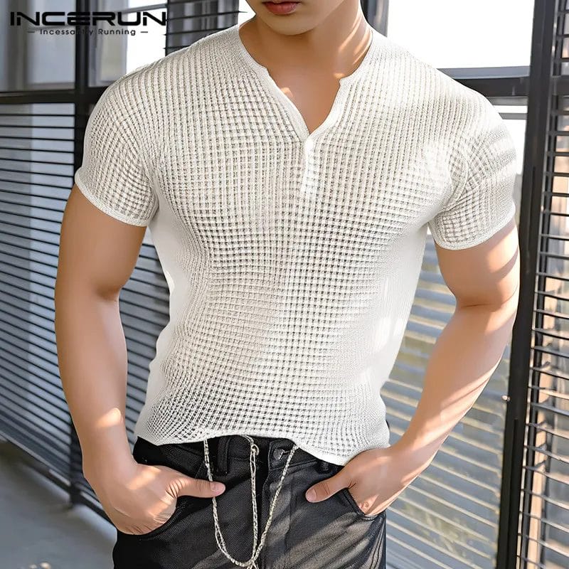 2024 Men's T Shirt Plaid V Neck Short Sleeve Transparent Streetwear Casual Tee Tops Men Fitness Fashion Camisetas S-5XL INCERUN 1