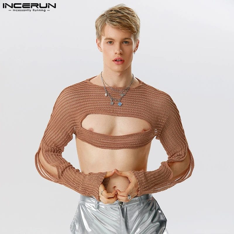 INCERUN Men T Shirt Mesh Transparent Hollow Out Sexy O-neck Long Sleeve Male Crop Tops Streetwear 2024 Fashion Camisetas S-5XL 1